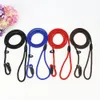 Pet Leashes Nylon Dog Leash Pet Puppy Slip Lead Rope Dog Slip Leash Chain Collar Adjustable Dog Training Leash for Small Dog