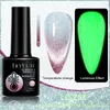 Luminous Reflective Cat Magnetic Gel Nail Polish LED UV Gel Polish Glow In Dark Semi Permanent Soak Off Nail Art Polish