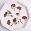Dekoracyjne kwiaty ponadwymiarowe wysuszone prasowane próbki róży do naszyjnika kolczyki