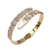 Bracelet de mode européen et américain Personnalité Serpent Diamant Lumière Design de luxe Sens Bracelet en os de serpent Titane Acier Bijoux à la main