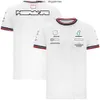 F1 Ben T-shirt New Formula 1 Racing Team Sports T-shirts de manga curta Motorsport Summer Motorcycle Riding Jersey Masculino T-shirt de secagem rápida
