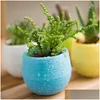 Plantenbakken Potten 7X7Cm Mini Bloem Ronde Plastic Vetplant Bloempot Lek Water Gat Ontwerp Bloempotten Tuin Thuis desktop Decor Dhzx5