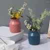 Vaser plast vas kreativ nordisk stil torr och våt blommor arrangemang container imitation keramisk saftig kruka