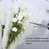 Dekorativa blommor kransar torkade pampas gräsdekor små fluffiga 30 st 45 cm naturligt vitt för vasblomma bukett arrangemang237h