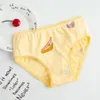 Panties 12pc lot Girls Underwear Kids Briefs Children Underpants 2 12Years 230714