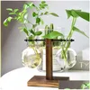 Vasos Terrário Planta hidropônica Vaso de flores vintage Vaso transparente Moldura de madeira Vidro Plantas de mesa Decoração para casa Bonsai 510 R2 Dro Dhj4T