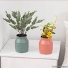 Vaser plast vas kreativ nordisk stil torr och våt blommor arrangemang container imitation keramisk saftig kruka