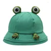 Bérets mignon Animal imprimé large bord chapeau de soleil pour femmes hommes adolescents enfants - à la mode extérieur seau casquette printemps été Protection