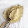 Faux Floral Greenery 5PCS Dried Palm Leaves Dried Palm Fans Room Home Decor Boho Look Wedding Outdoor Decoration Artificial Plant Dried Flowers Arch 230714