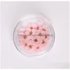 Dekorative Blumenkränze gepresste getrocknete Narzissen-Pflaumenblütenblume mit Box für Epoxidharz-Schmuckherstellung, Nagelkunst, Handwerk, DIY Dhu8F