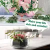 Decoratieve Bloemen Steekschuim 12 Stuks Droge Natte Bloem Ronde Bloemist Styrofoam Blokken Voor Or