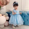 Completi di abbigliamento Abiti da principessa per bambina Abito da bambina in tulle con fiocco in tulle Dolce senza maniche Vestido Abito da primo compleanno nato 3-24 mesi