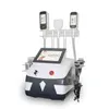 Cryolipolysis Machine Bevriezing Vet 360 Cryo Koeler Criolipolise Buik Afslanken Anti Cellulite Machines