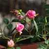 Dekorativa blommor 175 cm Artificial Rose Flower Vine Home Wall Decor Fake Rottan Outdoor Garden Decoration Plant GRANGE FRAND DOORN HANGING