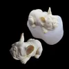 3D Sevimli Güzel Köpekler Köpek Kek Kalıp Buldog Dondurma Silikon Pişirme Gumpaste Araçları Kek Dekorasyonu için Tatlı Kalıplar K699 21022257i