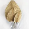 Faux Floral Greenery 5PCS Dried Palm Leaves Dried Palm Fans Room Home Decor Boho Look Wedding Outdoor Decoration Artificial Plant Dried Flowers Arch 230714