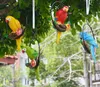 Trädgårdsdekorationer Courtyard Simulation Birds Iron Ring Parrot Harts Tillbehör Utomhus Garden Tree Sculpture Decoration Villa Park Artwork Crafts L230715