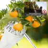 Snoeigereedschap Fruitplukker Tool Verstelbare Picking Harvester met 4 9Ft Telescopische Pole Ergonomische Lichtgewicht Catcher 230714