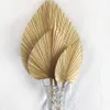 Faux Floral Greenery 5PCS Dried Palm Leaves Dried Palm Fans Room Home Decor Boho Look Wedding Outdoor Decoration Artificial Plant Dried Flowers Arch 230714