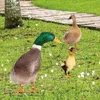 Dekoracje ogrodowe Garden Duck Stak 2d Podwórko Acryl trawnik Dekoracja Dwustronna statua zwierząt w sezonie odpowiednia dla rybnego stawu patio L230714