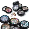 Glitter per unghie HNDO 6 colori Sparkle Paillettes Opal Powder Irregular Aurora Flakes Manicure Shimmer Design DIY WN Series Wholesale 230714