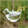 プランターポットオリジナリティバードシェイプ花瓶水耕栽培サスペンション透明な植木鉢ガラスハンギングウォータープラントフラワーポットホームD DHCR0