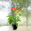 Декоративные цветы симуляция растения Bonsai Flower Calla Lily Orange Artificial Hydfice Silk для осени