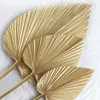 Faux Floral Greenery 5PCS Dried Palm Leaves Dried Palm Fans Room Home Decor Boho Look Wedding Outdoor Decoration Artificial Plant Dried Flowers Arch 230714