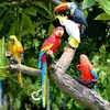 Garden Decorations Outdoor Garden Simulation Birds Iron Ring Toucan Parrot Resin Decoration Courtyard Sculpture Crafts Villa Park Tree Ornaments L230715