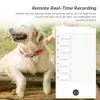 Other Dog Supplies Mini Pets GPS AGPS LBS Wifi Tracker Real time Tracking Collar Cat Find Device Bell Rings Locator Gps 230715