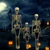 Halloween Prop Decoration Skeleton Full Size Skull Hand Life Body Anatomy Model Decor Y2010063128