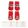 Dog Apparel Socks Christmas Red Tło dla wnętrza