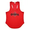 Mannen Tank Tops Running Vest Mannen Fitness Y Back Stringer Tanktop Zomer Gym Kleding Zomer Mesh Sport Vest Mannen Bodybuilding Mouwloos Shirt 230715