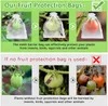 100 PÇS Sacos de Proteção para Uvas Sacos de Malha de Jardim Agrícola Pomar Controle de Pragas Rede Anti-Pássaros Sacos de Legumes de Frutas