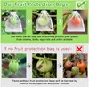 100pcs Sacs de protection des raisins Sacs en mailles de jardin