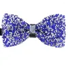 Papillon strass papillon per uomo colletto di cristallo brillante papillon banchetto di nozze di lusso festa bling nodo a farfalla sposo