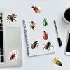 50pcs Cool Insect Stickers Funny Animal Spider Ladybug Graffiti sticker Kids Toy Skateboard car Motorcycle Bicycle Sticker Decals Wholesale