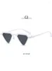 Sunglasses Fashion Unisex Unique Designed Trend Inverted Triangle Lens Cool Sun Glasses 2023 Female Casual High Street Chic Wear