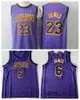 Vintage Basketball Jersey LeBron James 6 23 High School Vincent St Mary Space Jam Tune City zdobył MPLS WSZYSTKIE STITCHED Sport Shirt Team Yellow Black Purple Blue