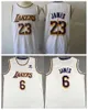 Maglia da basket vintage LeBron James 6 23 High School Vincent St Mary Space Jam Tune Squad City Earned MPLS All Stitched Sport Shirt Team Giallo Nero Viola Blu