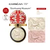 Lidschatten CARSLAN X Dunhuang Museum Deer Sculpture Highlighter Powder Platte Limited Edition Glitzer-Schimmer für Gesichts-Make-up 230617