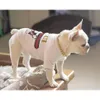 Colliers pour chiens laisses collier de chaîne pour animaux de compagnie 47cm collier en acier inoxydable bouledogue français Pitbully sangle accessoires de produit 230617