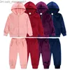 Giyim Setleri 2023 Kış Temel Küçük Kızlar Erkekler Giyim Altın Velvet Track Suit 2 Parçalı Fermuar Kat+Pantolon Hoodie Seti 9M-13Y Z230717