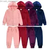 Kleidungssets 2023 Winter Basic Kleine Mädchen Jungen Kleidung Goldener Samt Trainingsanzug 2-teiliger Reißverschluss Mantel + Hose Hoodie Set 9M-13Y Z230717