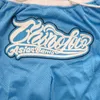 Shorts Masculino Shorts de Basquete Carolina Quatro Bolsos Zíper Costura Bordado Shorts Esportivos Ao Ar Livre de Alta Qualidade Calças de Praia Azul 230715