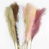 5Pcs Faux Pampas Grass Large 120 100 85cm Bouquet di fiori Falso Artificiale Pampas Grass Decor Alto Soffici Steli Soggiorno Decor 21302d