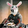 Motorradhelme Helm Lustiges Tier Full Face Carbon Motorrad Kopfbedeckung Universal Unisex Zubehör Zubehör
