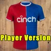 23 24 ÁGUIAS camisas de futebol CPFC 2023 2024 EDUARD ZAHA MILIVOJEVIC MATETA J. AYEW Sakho TOWNSEND MEYER SCHLUPP PALACE Homens crianças kits Tailândia camisa de futebol Cristal