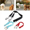 Dog Collars Pet Walking Lead Bungee Coupler Leashes Double Chain Elastic Dogs Leash Splitter Tow Belt Chest Strap