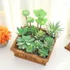 装飾的な花の緑のシミュレーション多肉植物植物の創造的なDIYホームウォールハンギングオフィスデスクトップかわいい鉢植えの風景のための装飾